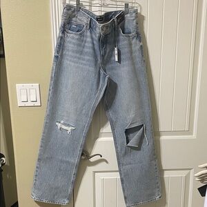 Express Women's Modern Straight Low Rose Jeans 12R